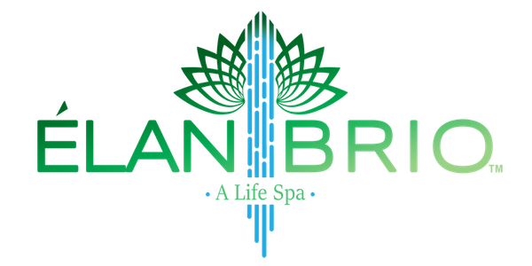 Elan Brio Logo